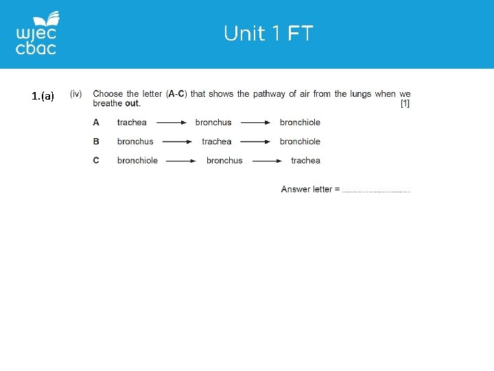 Unit 1 FT 1. (a) 