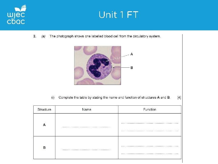 Unit 1 FT 