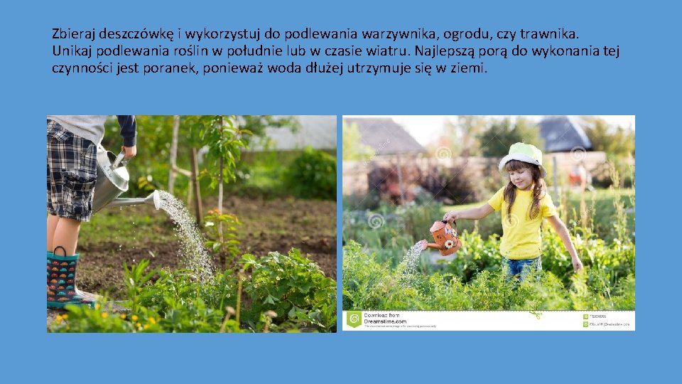 Zbieraj deszczówkę i wykorzystuj do podlewania warzywnika, ogrodu, czy trawnika. Unikaj podlewania roślin w