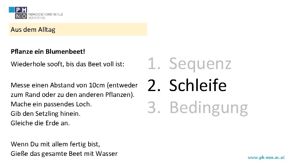 Aus dem Alltag Pflanze ein Blumenbeet! Wiederhole sooft, bis das Beet voll ist: Messe