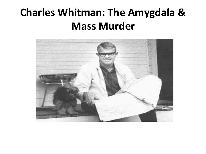 Charles Whitman: The Amygdala & Mass Murder 