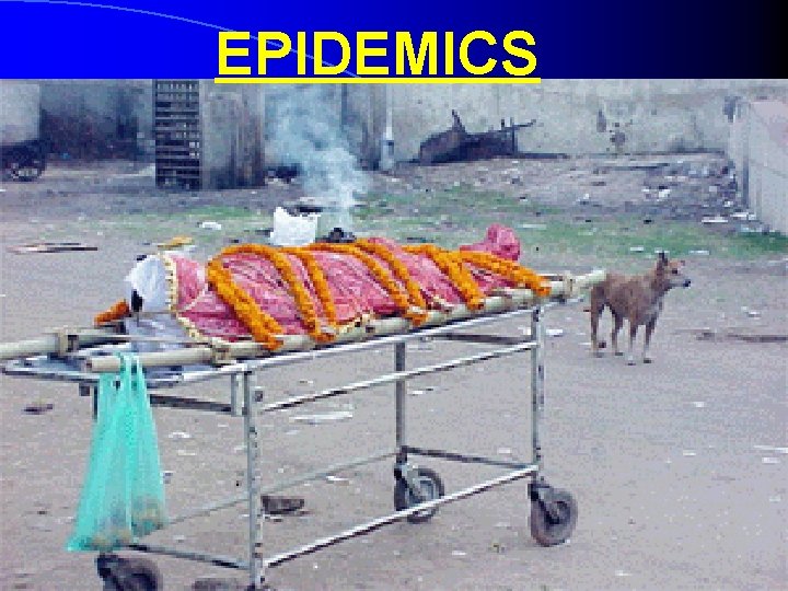 EPIDEMICS 