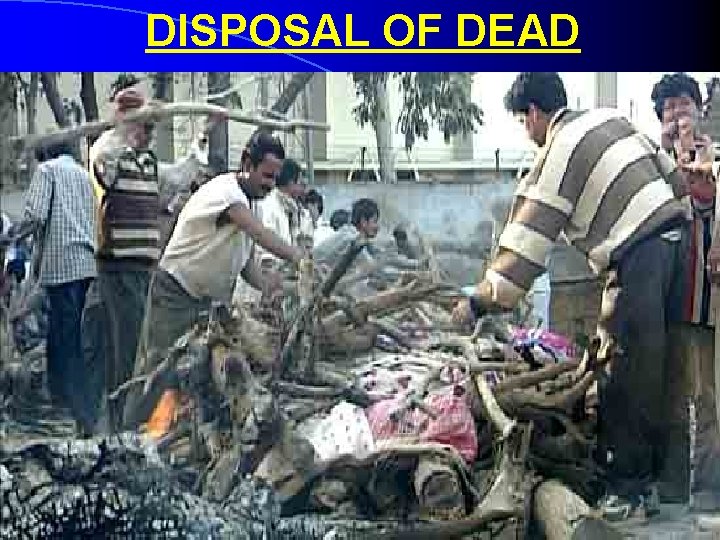 DISPOSAL OF DEAD 