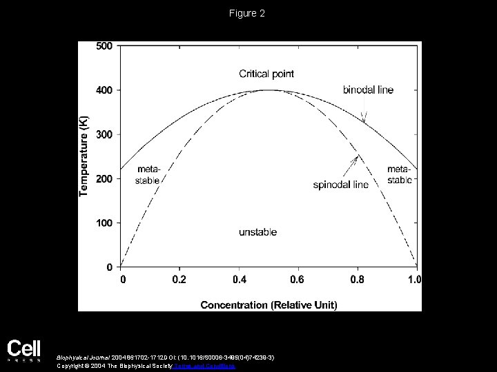 Figure 2 Biophysical Journal 2004 861702 -1712 DOI: (10. 1016/S 0006 -3495(04)74239 -3) Copyright