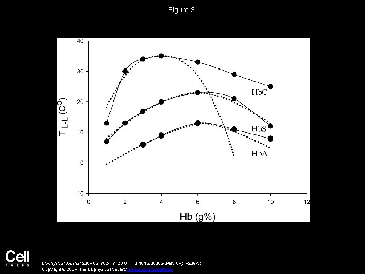 Figure 3 Biophysical Journal 2004 861702 -1712 DOI: (10. 1016/S 0006 -3495(04)74239 -3) Copyright