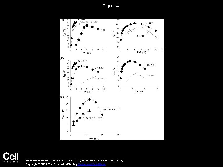 Figure 4 Biophysical Journal 2004 861702 -1712 DOI: (10. 1016/S 0006 -3495(04)74239 -3) Copyright