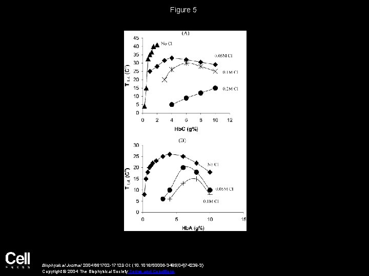 Figure 5 Biophysical Journal 2004 861702 -1712 DOI: (10. 1016/S 0006 -3495(04)74239 -3) Copyright