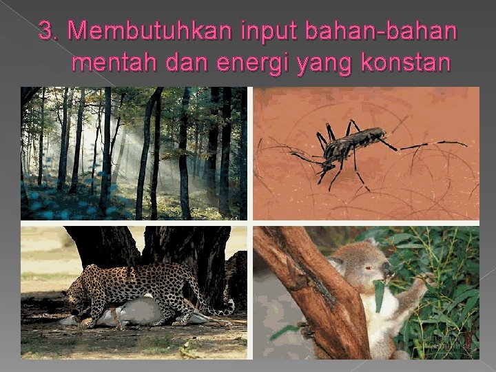 3. Membutuhkan input bahan-bahan mentah dan energi yang konstan 