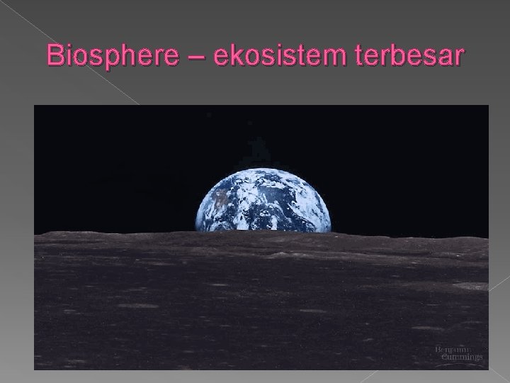 Biosphere – ekosistem terbesar 