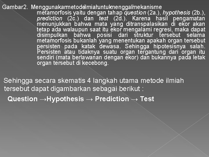 Gambar 2. Menggunakanmetodeilmiahuntukmenggalimekanisme metamorfosis yaitu dengan tahap question (2 a. ), hypothesis (2 b.