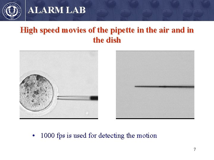 ALARM LAB High speed movies of the pipette in the air and in the