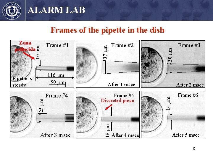 ALARM LAB 116 m 50 m Pipette is steady 25 m Frame #4 After