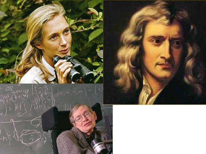 Famous Scientists Famous Scientists WALT Describe the life