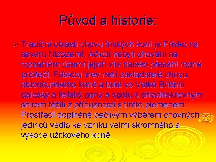 Původ a historie: Ø Tradiční oblasti chovu fríských koní je Frísko na severu Nizozemí.