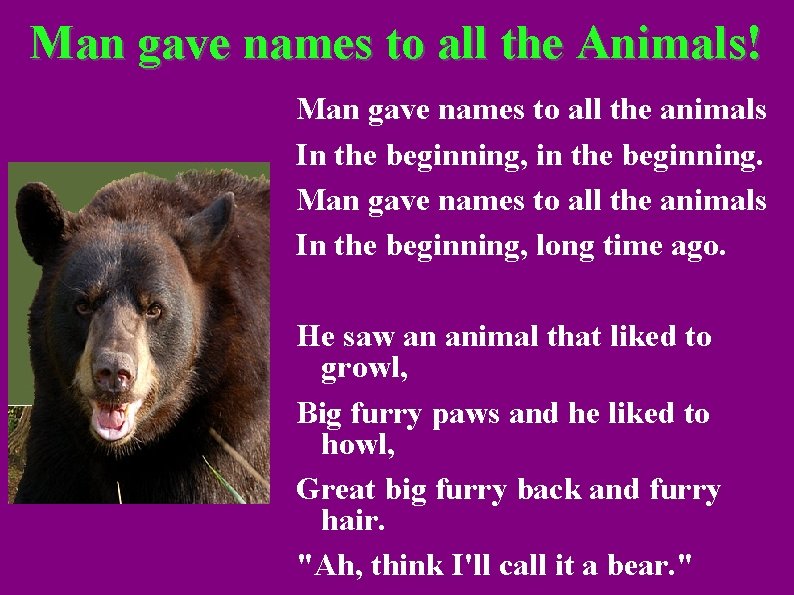 Man gave names to all the Animals! Man gave names to all the animals