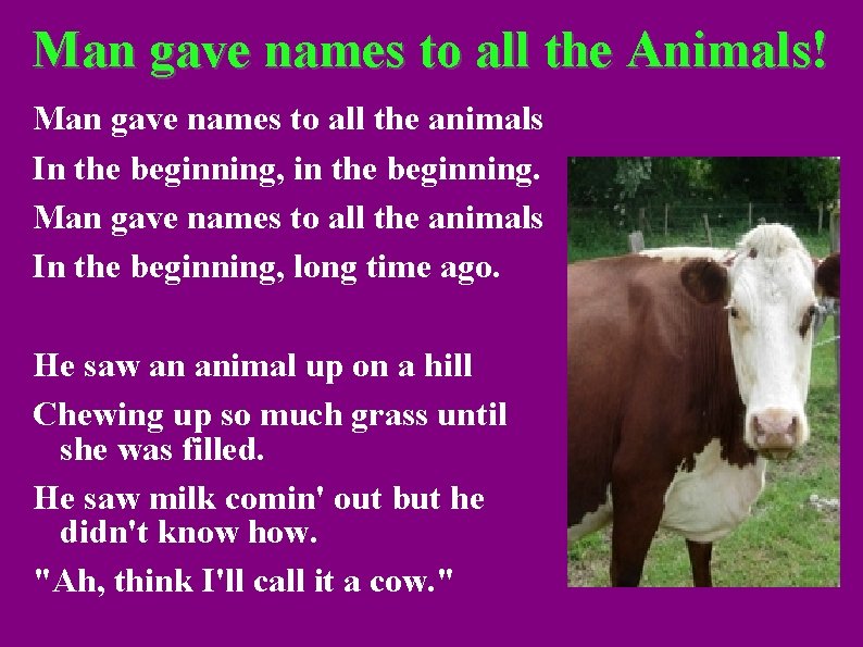 Man gave names to all the Animals! Man gave names to all the animals