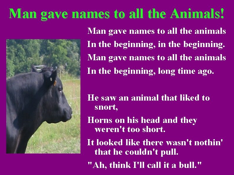 Man gave names to all the Animals! Man gave names to all the animals