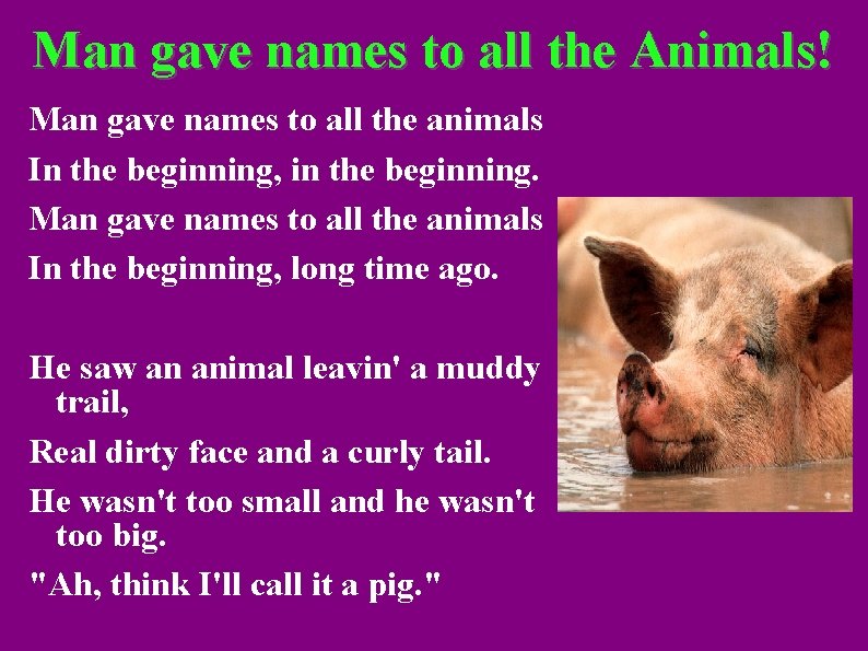 Man gave names to all the Animals! Man gave names to all the animals