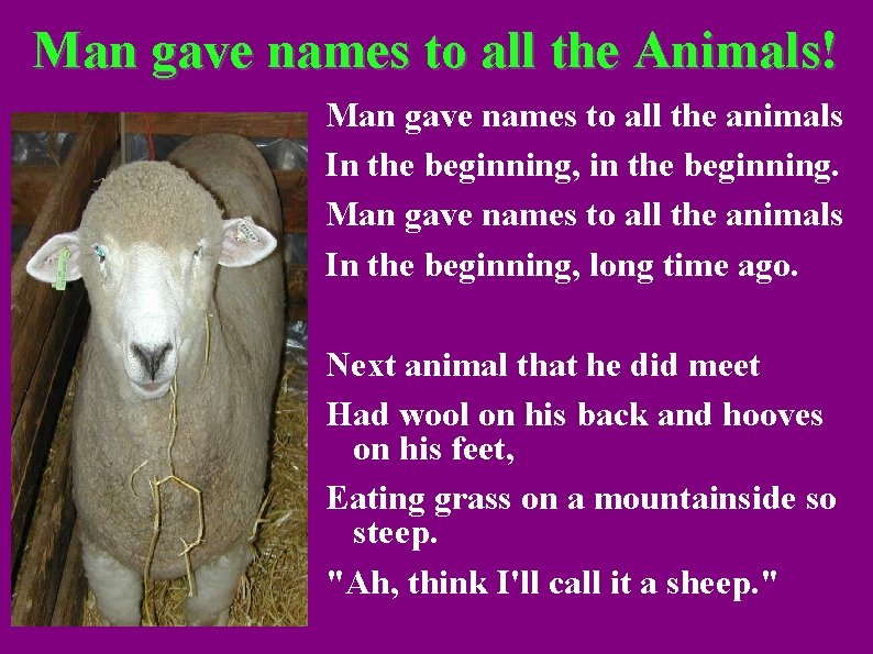 Man gave names to all the Animals! Man gave names to all the animals