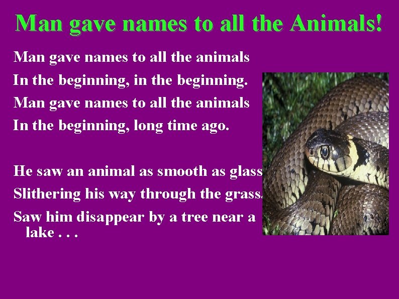 Man gave names to all the Animals! Man gave names to all the animals