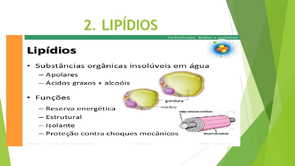 2. LIPÍDIOS 