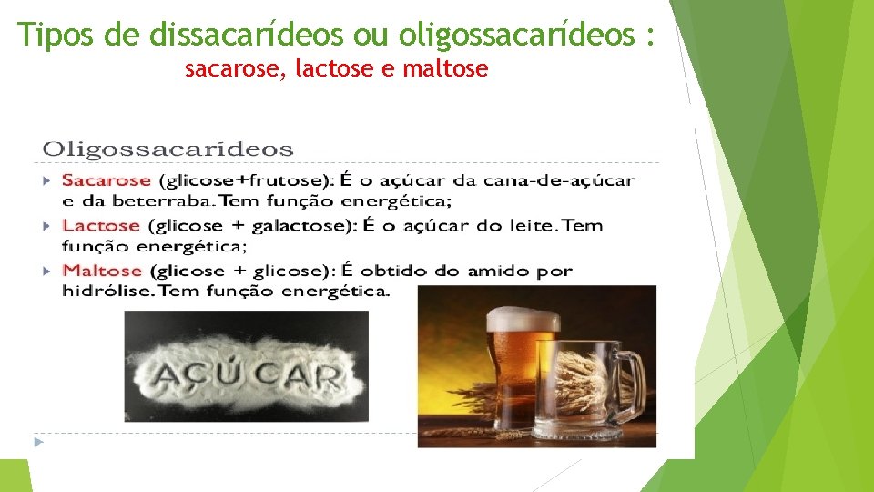 Tipos de dissacarídeos ou oligossacarídeos : sacarose, lactose e maltose 