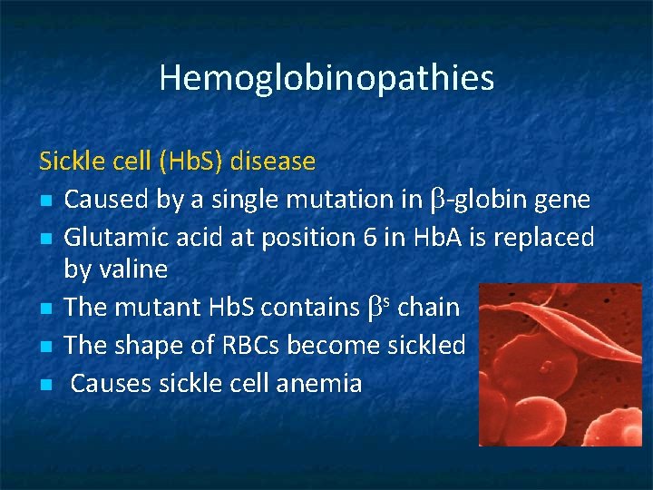 Hemoglobinopathies Sickle cell (Hb. S) disease n Caused by a single mutation in b-globin
