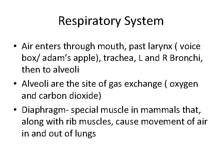 Respiratory System • Air enters through mouth, past larynx ( voice box/ adam’s apple),