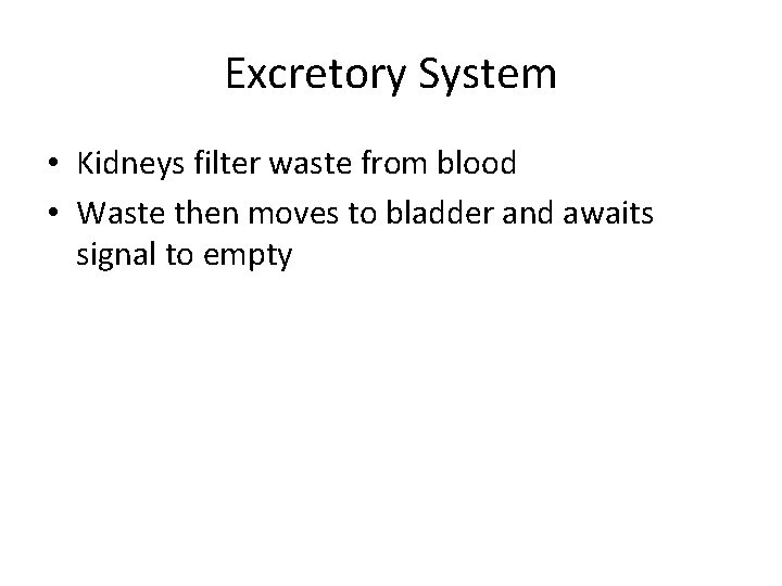 Excretory System • Kidneys filter waste from blood • Waste then moves to bladder