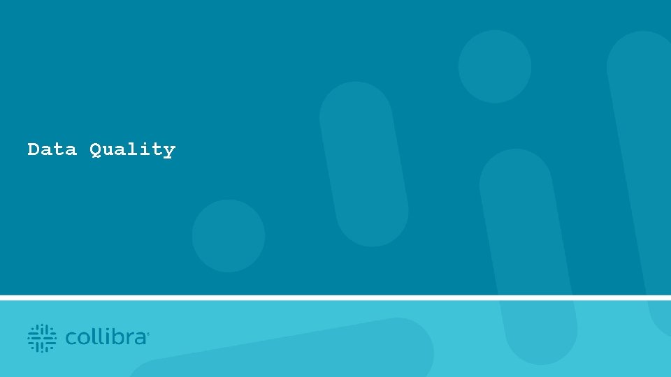 Data Quality 