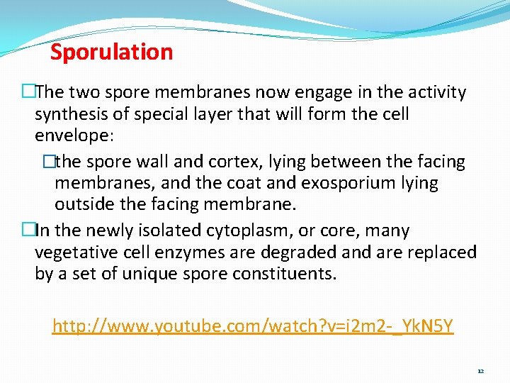 Sporulation �The two spore membranes now engage in the activity synthesis of special layer