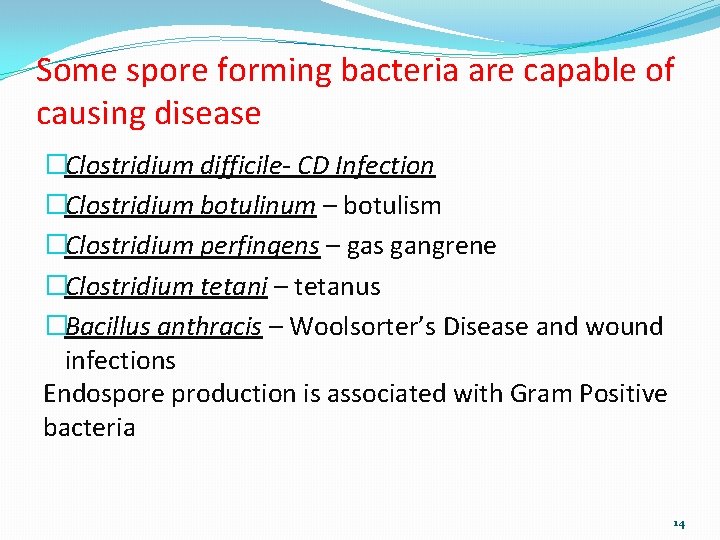 Some spore forming bacteria are capable of causing disease �Clostridium difficile- CD Infection �Clostridium