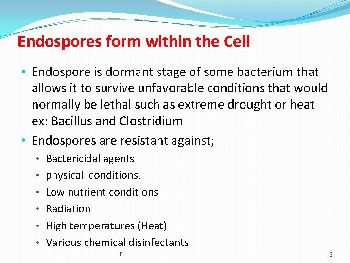 Endospores form within the Cell • Endospore is dormant stage of some bacterium that