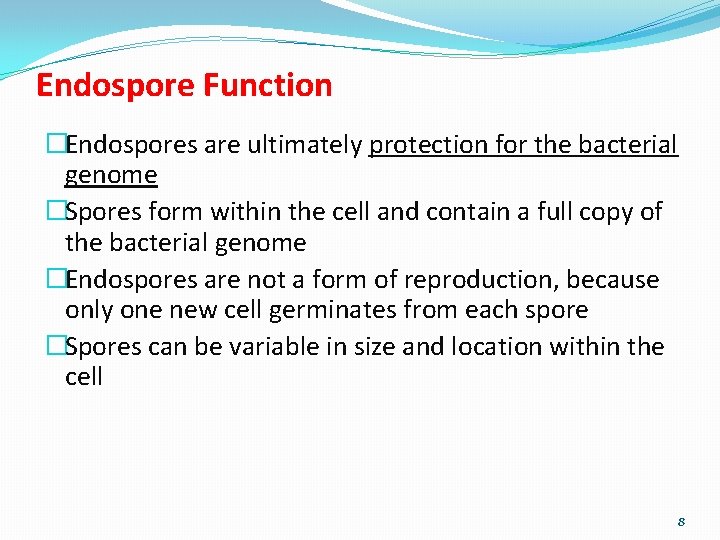 Endospore Function �Endospores are ultimately protection for the bacterial genome �Spores form within the