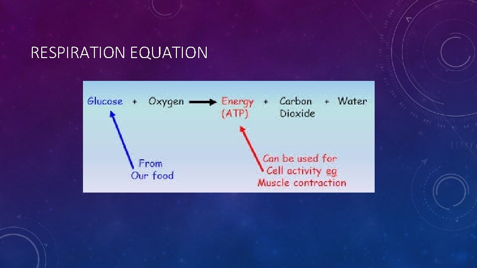 RESPIRATION EQUATION 