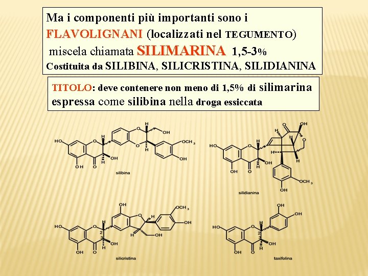 Ma i componenti più importanti sono i FLAVOLIGNANI (localizzati nel TEGUMENTO) miscela chiamata SILIMARINA