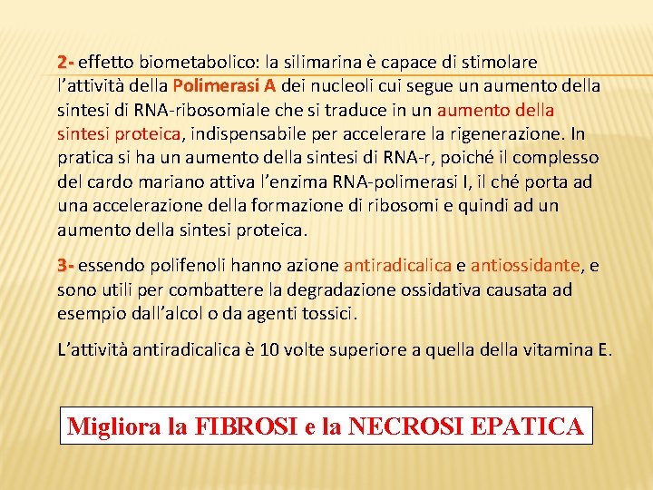 2 - effetto biometabolico: la silimarina è capace di stimolare l’attività della Polimerasi A