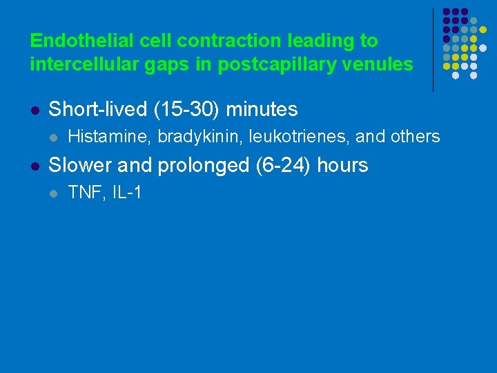 Endothelial cell contraction leading to intercellular gaps in postcapillary venules l Short-lived (15 -30)