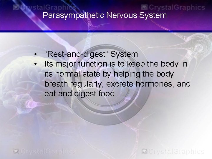 Parasympathetic Nervous System • “Rest-and-digest” System • Its major function is to keep the