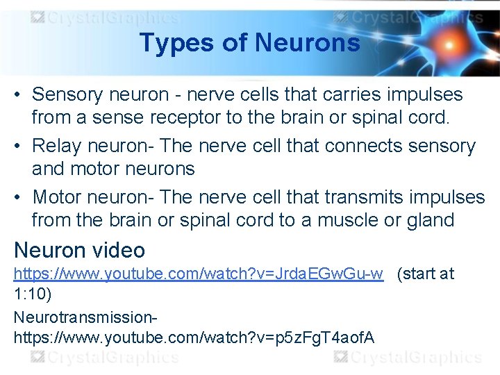 Types of Neurons • Sensory neuron - nerve cells that carries impulses from a