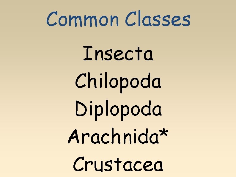Common Classes Insecta Chilopoda Diplopoda Arachnida* Crustacea 