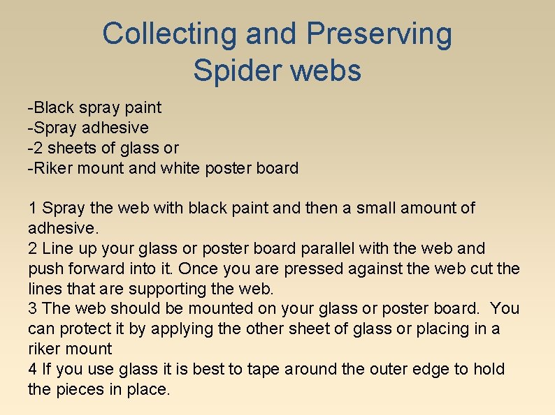 Collecting and Preserving Spider webs -Black spray paint -Spray adhesive -2 sheets of glass