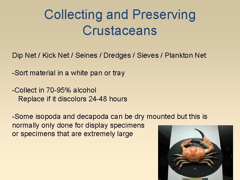 Collecting and Preserving Crustaceans Dip Net / Kick Net / Seines / Dredges /