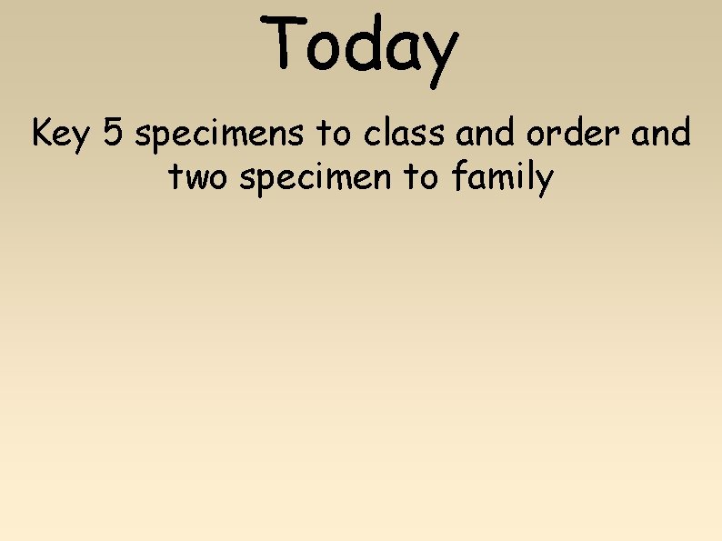 Today Key 5 specimens to class and order and two specimen to family 