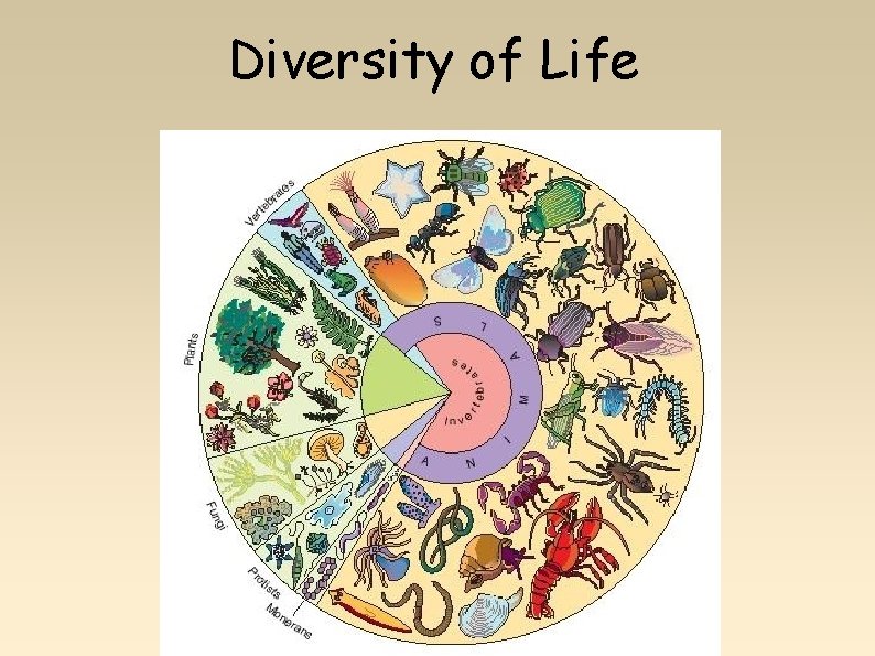 Diversity of Life 