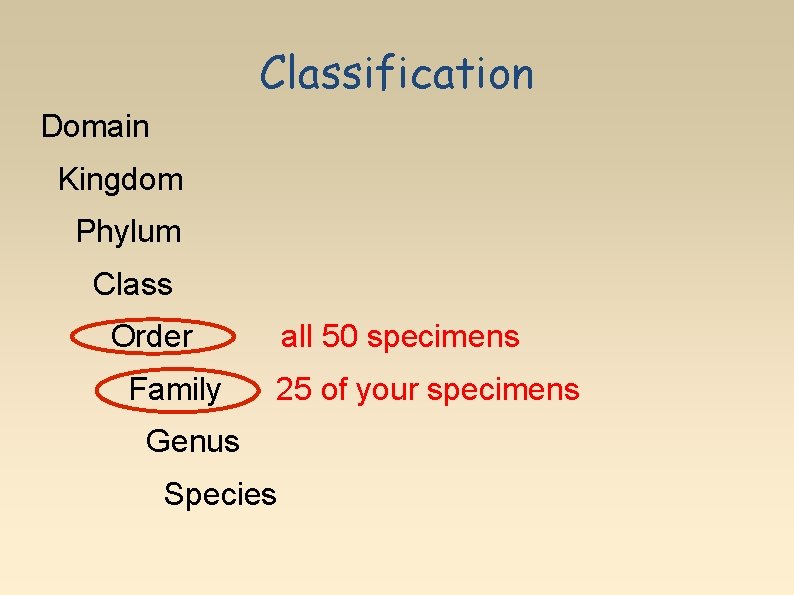 Classification Domain Kingdom Phylum Class Order Family all 50 specimens 25 of your specimens