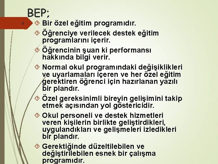 BEP; 4 Bir özel eğitim programıdır. Öğrenciye verilecek destek eğitim programlarını içerir. Öğrencinin şuan