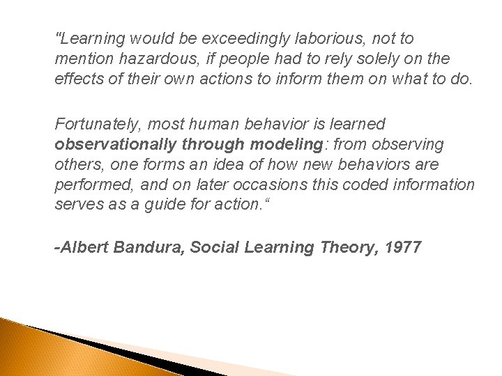 "Learning would be exceedingly laborious, not to mention hazardous, if people had to rely