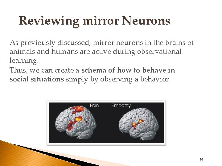 Reviewing mirror Neurons As previously discussed, mirror neurons in the brains of animals and