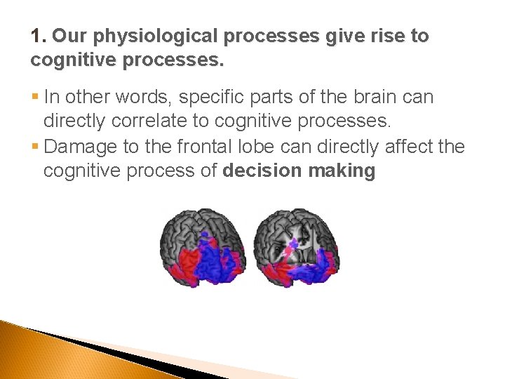 1. Our physiological processes give rise to cognitive processes. § In other words, specific